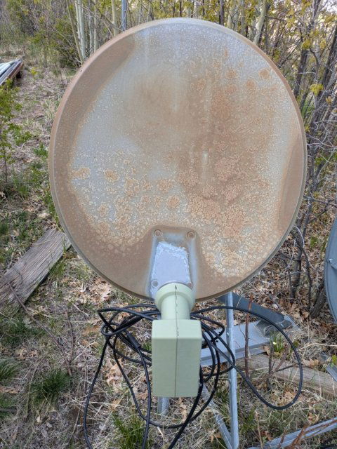 PXL_20250517_212746592.jpg