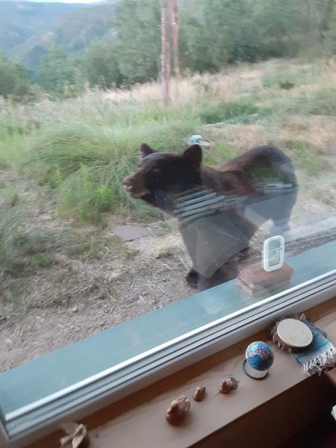 20230726_060842.jpg