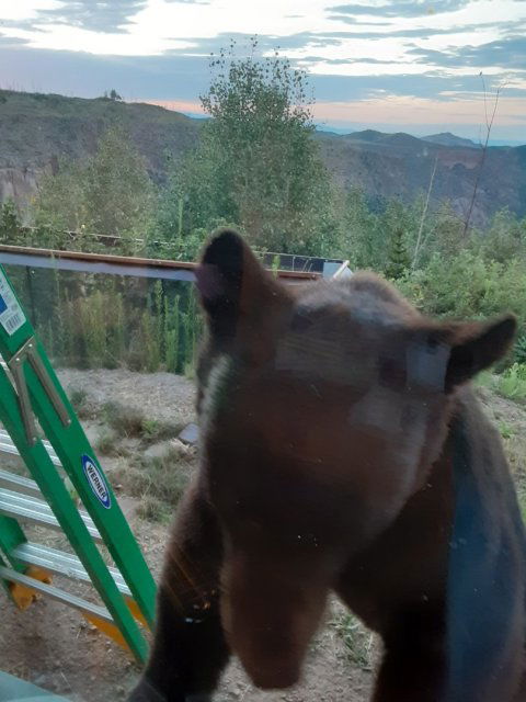 20230726_060907.jpg