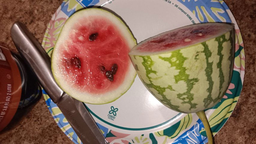 20250801_162808.jpg