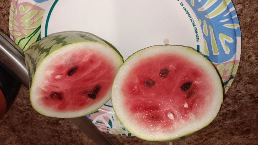 20250801_162803.jpg
