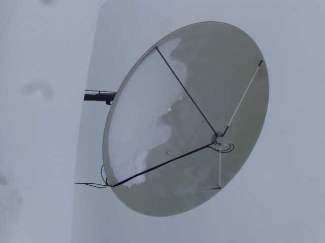 P1050298 (Large).JPG