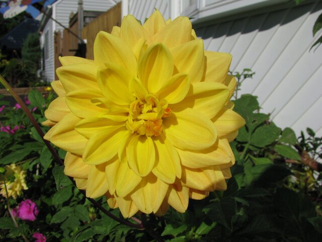 Picture 475.jpg