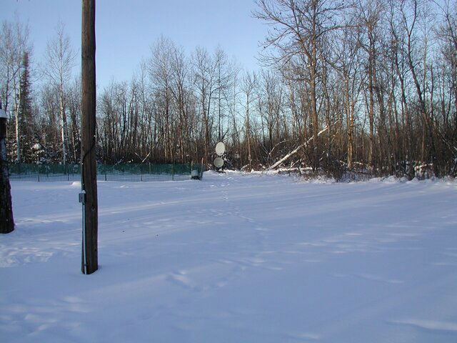 P1010031.JPG