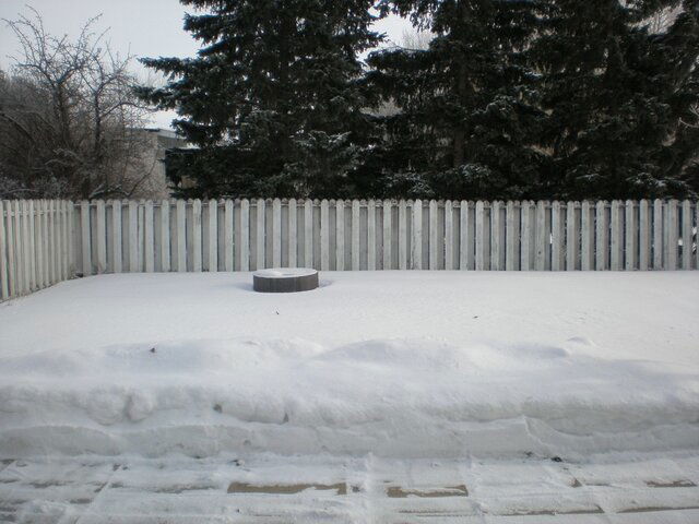 P1140042.JPG