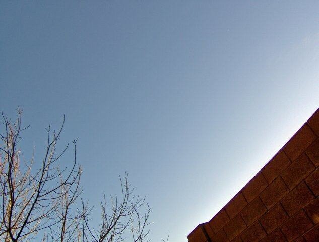 pic7.jpg