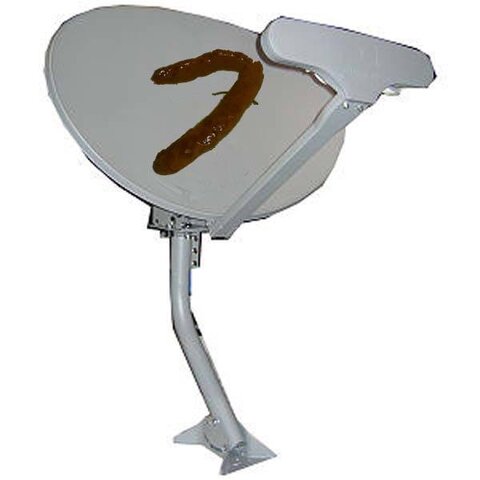 poop_dish copy.jpg