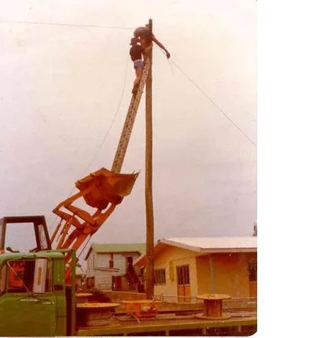 Telephone ladder.webp