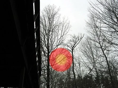 pic01 copy.webp