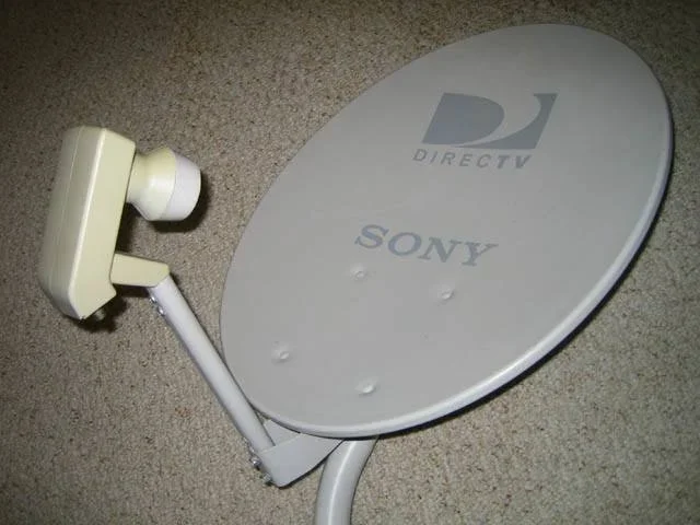 dish.webp