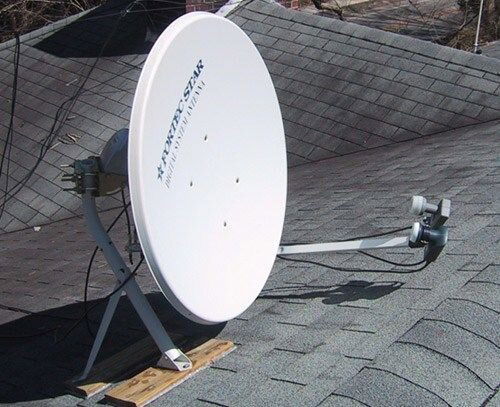 dish_one.jpg