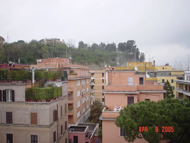 DSC01647.webp