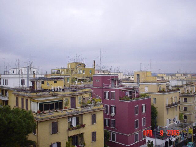 DSC01648.JPG