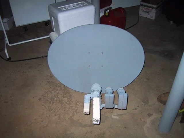 dish_1.webp