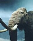 mammoth.jpg