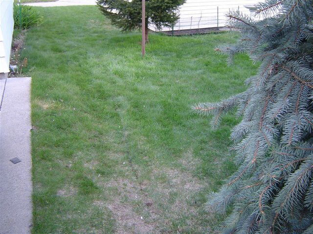 DSC01902.JPG