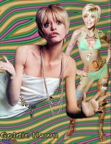 Goldie3.webp