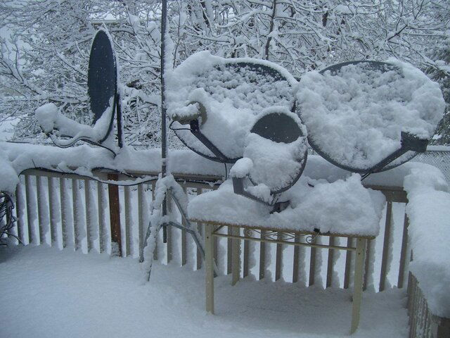 000_0404.jpg