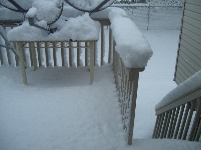 000_0405.jpg