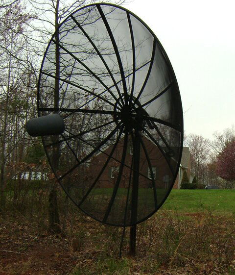 puxx big dish.jpg
