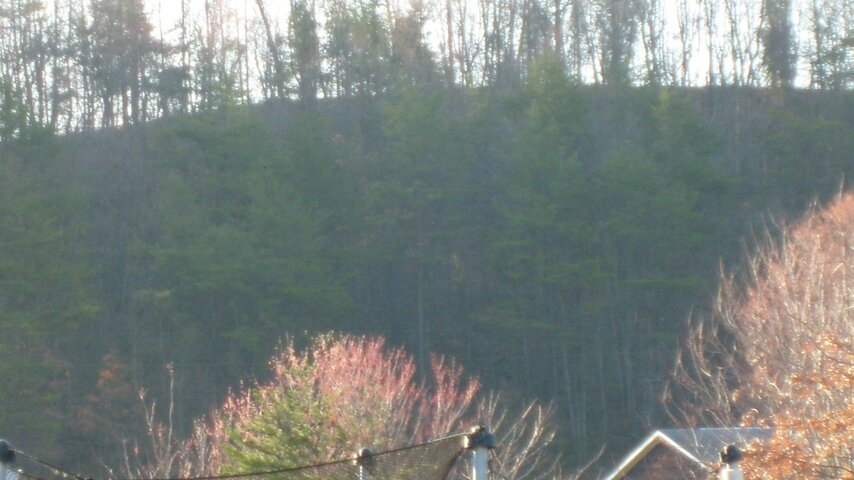 S6305523.JPG