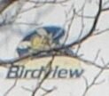birdview-solid-logo1.jpg