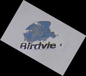 birdview-solid-logo-2.JPG