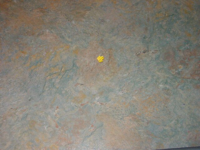 RJ45DustCap.JPG