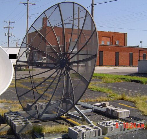 test-dish-p10-2.jpg
