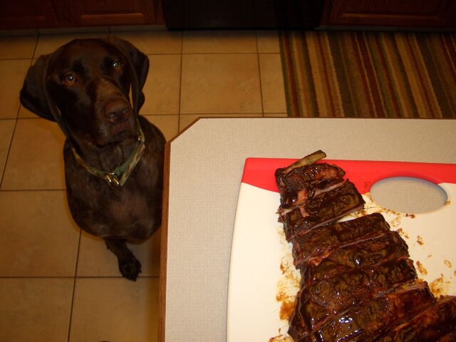 Picture 007.jpg