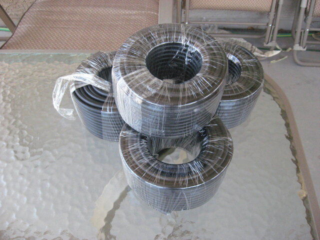 IMG_1155.JPG