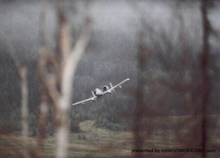 a-10_In_the_weeds.jpg