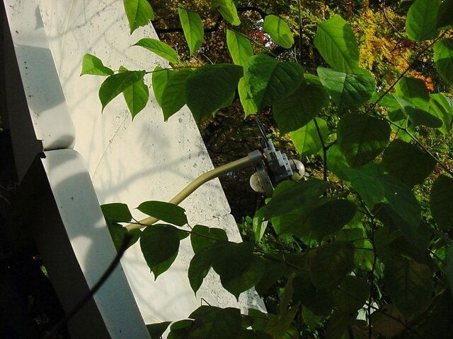 Picture 110.jpg