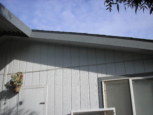 PB110091.JPG