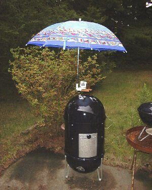 WSM in rain.jpg