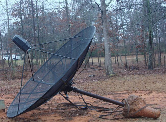 dish.JPG