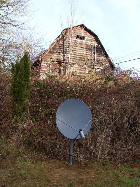 DSC09628.jpg