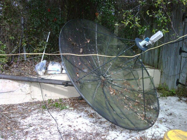 bigdish1.jpg