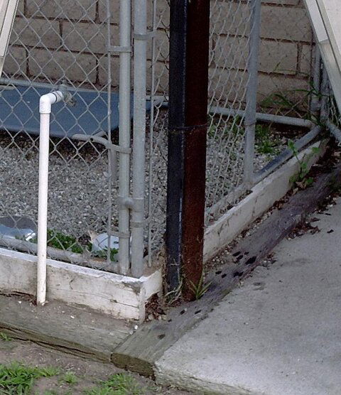 01-PICT4447crop.jpg