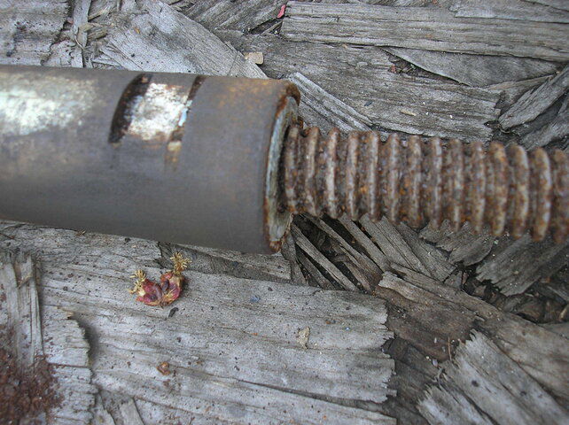 rusty actuator screw.JPG