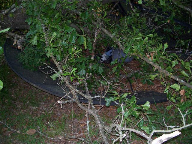 100_3611 (Large).JPG