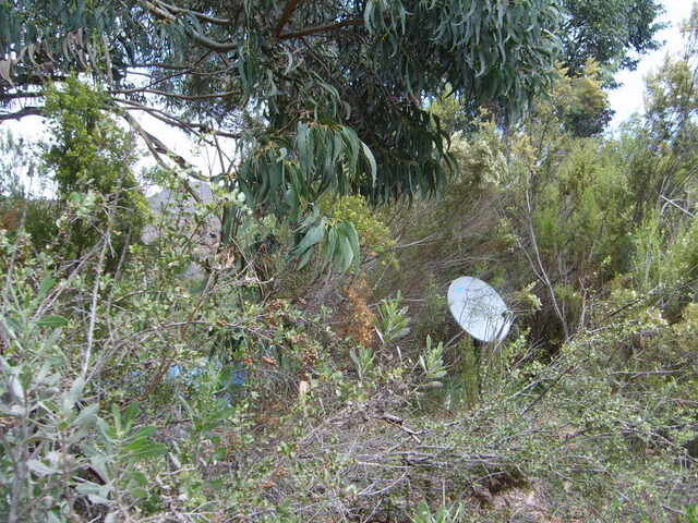s5006284.jpg
