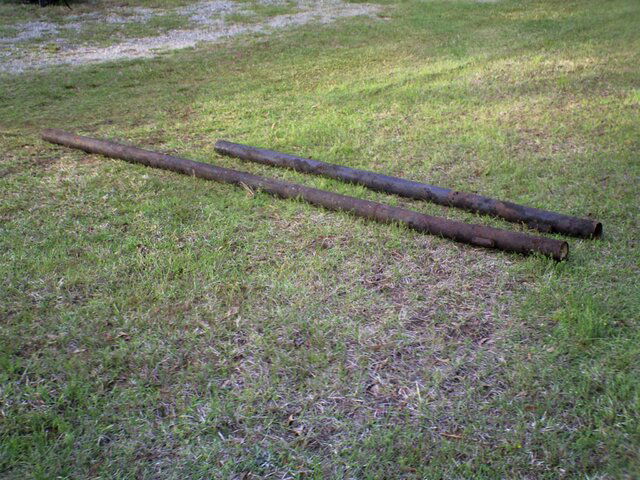 5BudPoles.jpg