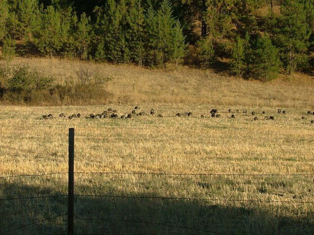 DSCF1679.JPG