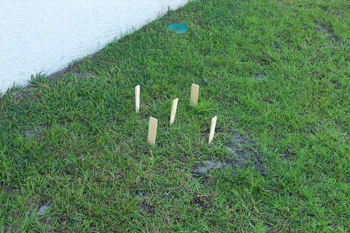 Pic_0088.jpg