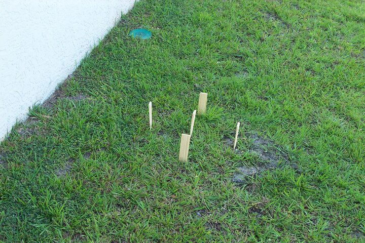 Pic_0089.jpg