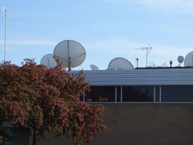 Picture 007.jpg