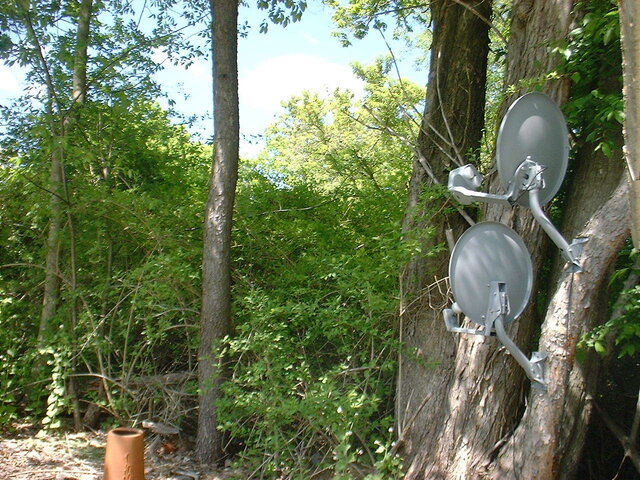 Anotother 119 view.JPG