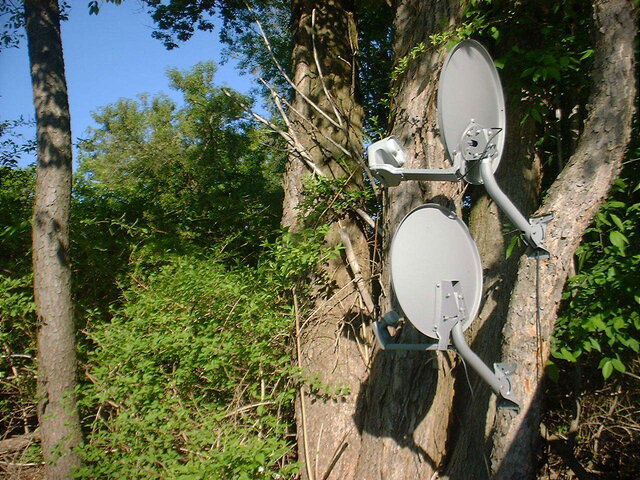 Dish 119.JPG