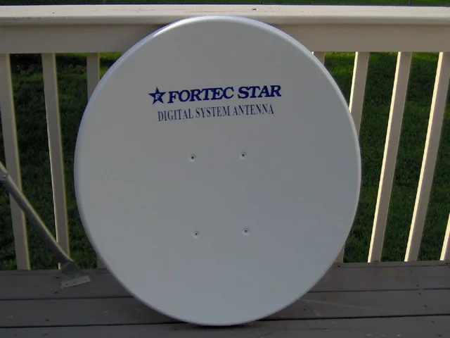 36 inch dish.webp
